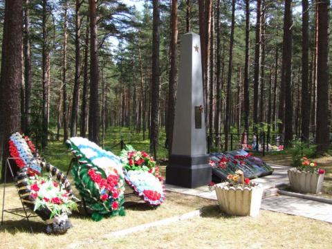 Воинское захоронение № 56 Ленинградская область, Выборгский район, Приморское городское поселение, остров Большой Берёзовый (возле кладбища). Координаты GPS 60.288471, 28.667683.