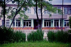 Изображения.