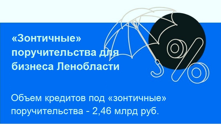 «Зонтичные» поручительства для бизнеса Ленобласти.