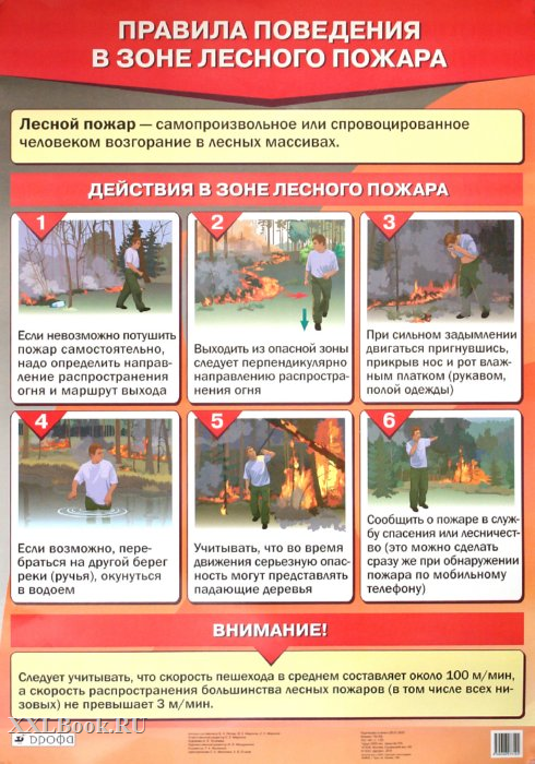 Изображения.