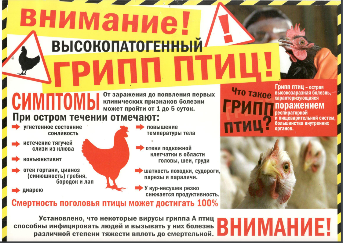https://sharya.kostroma.gov.ru/news/detail.php/99482/.
