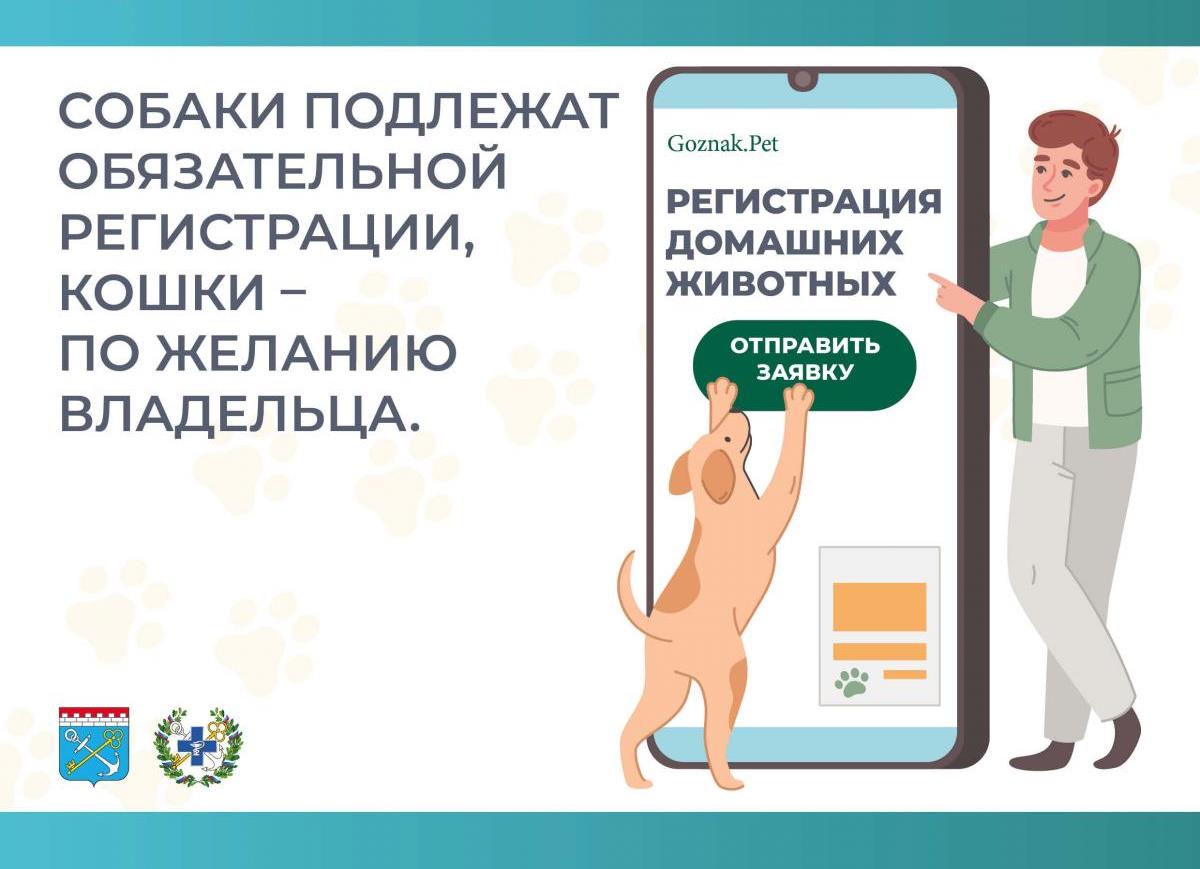 Порядок регистрации домашних животных на территории Ленинградской области.