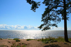 Финский залив.